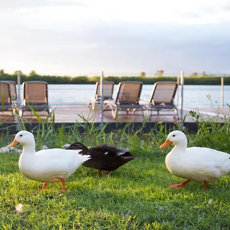 Θέρετρο Plana & 4*